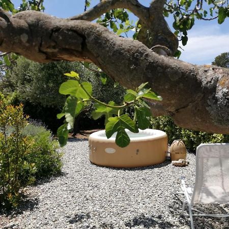 I Colmi - Trulli Suites Мартина-Франка Экстерьер фото